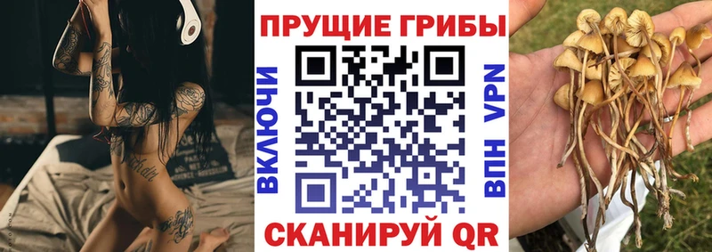 Псилоцибиновые грибы мицелий Арамиль